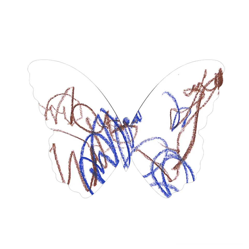 Original Butterfly Image