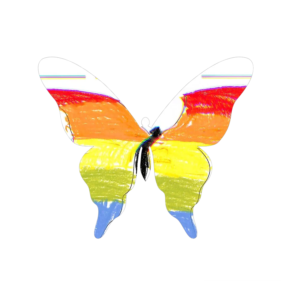 Original Butterfly Image