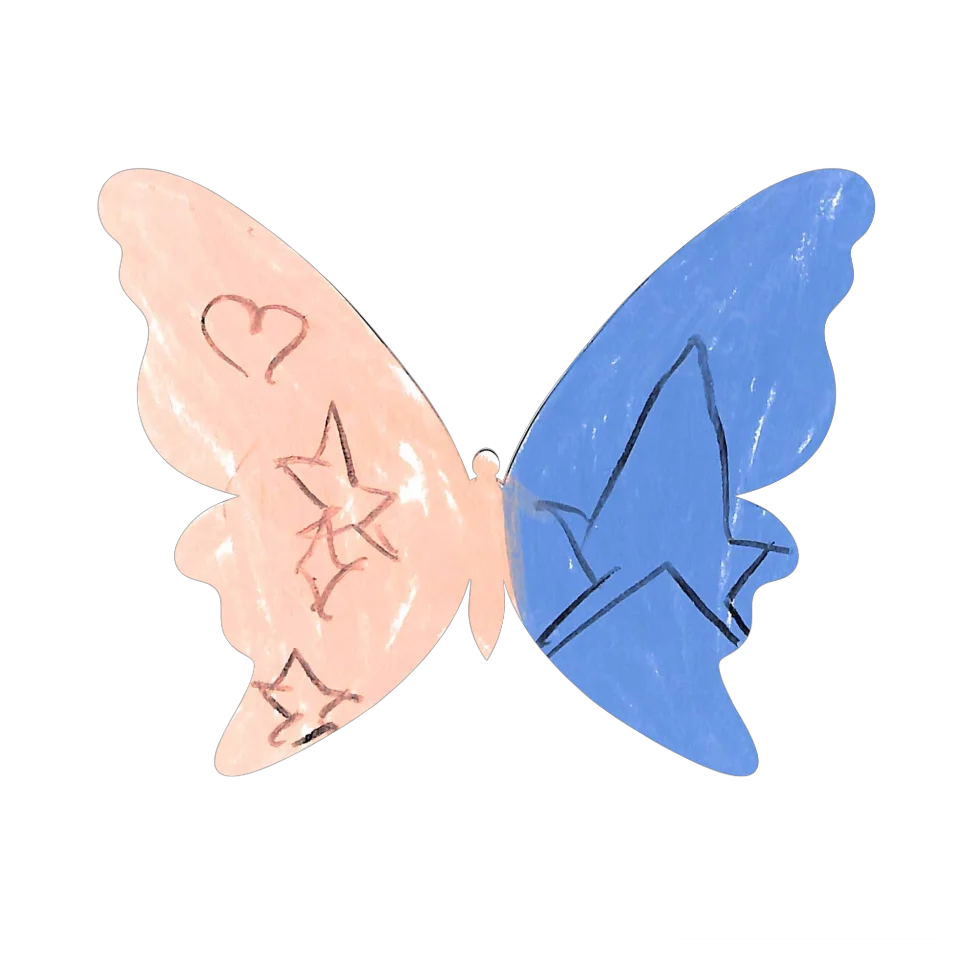 Original Butterfly Image