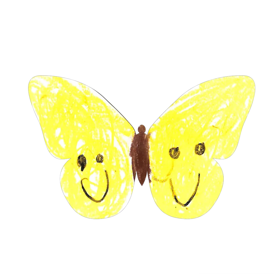 Original Butterfly Image