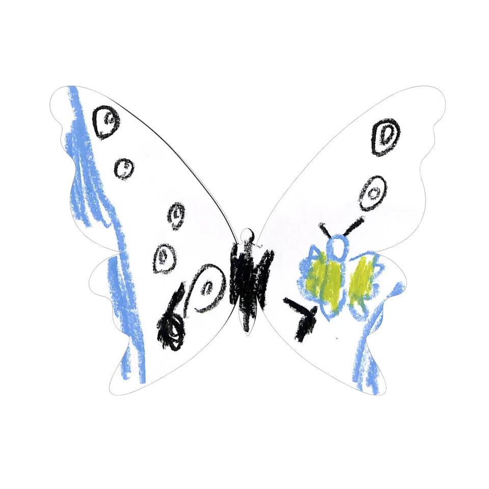 Original Butterfly Image