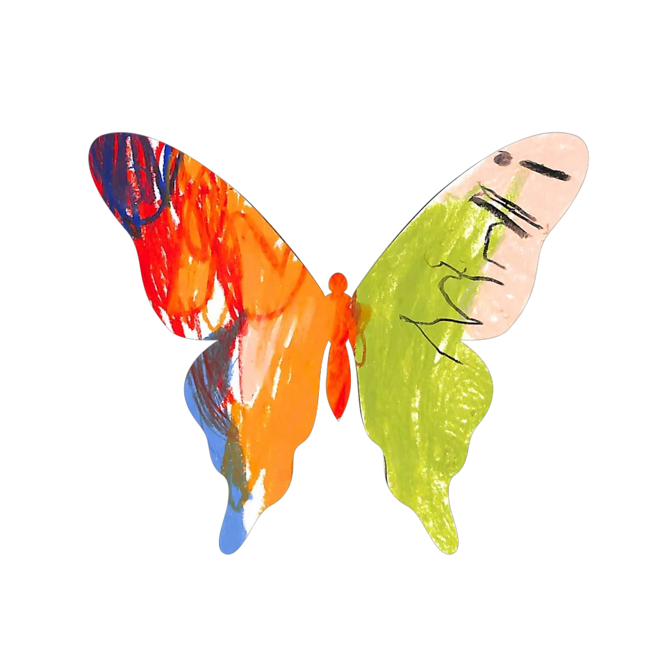 Original Butterfly Image