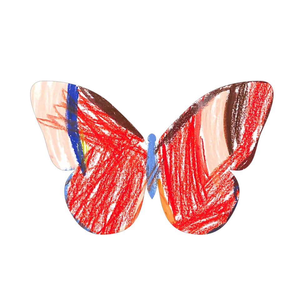 Original Butterfly Image