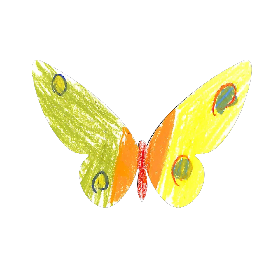 Original Butterfly Image