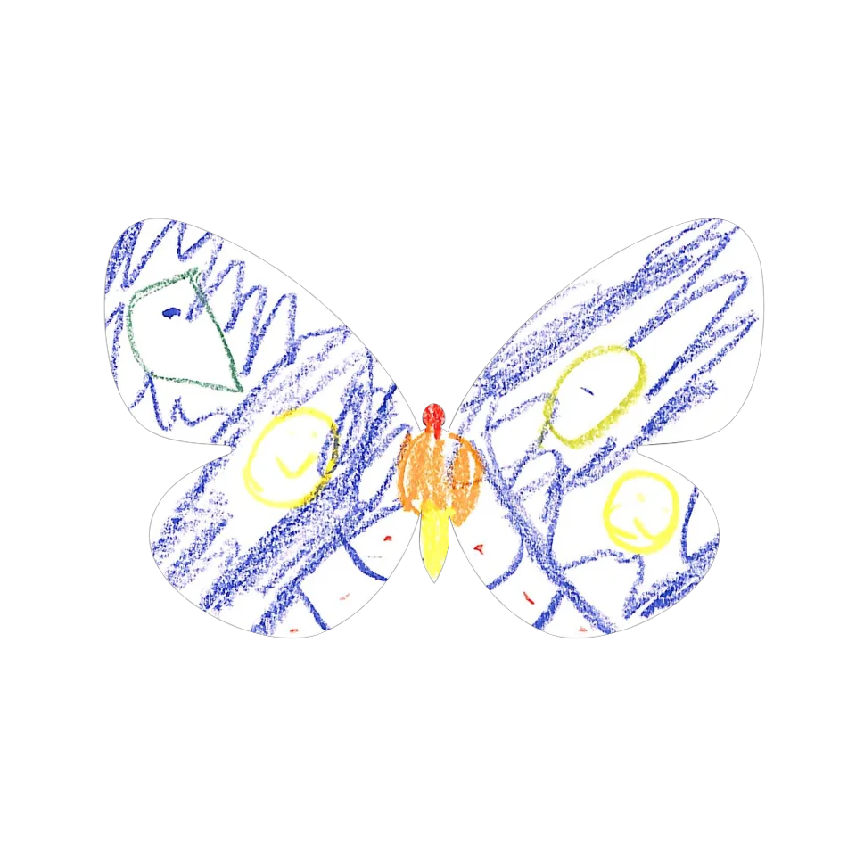 Original Butterfly Image