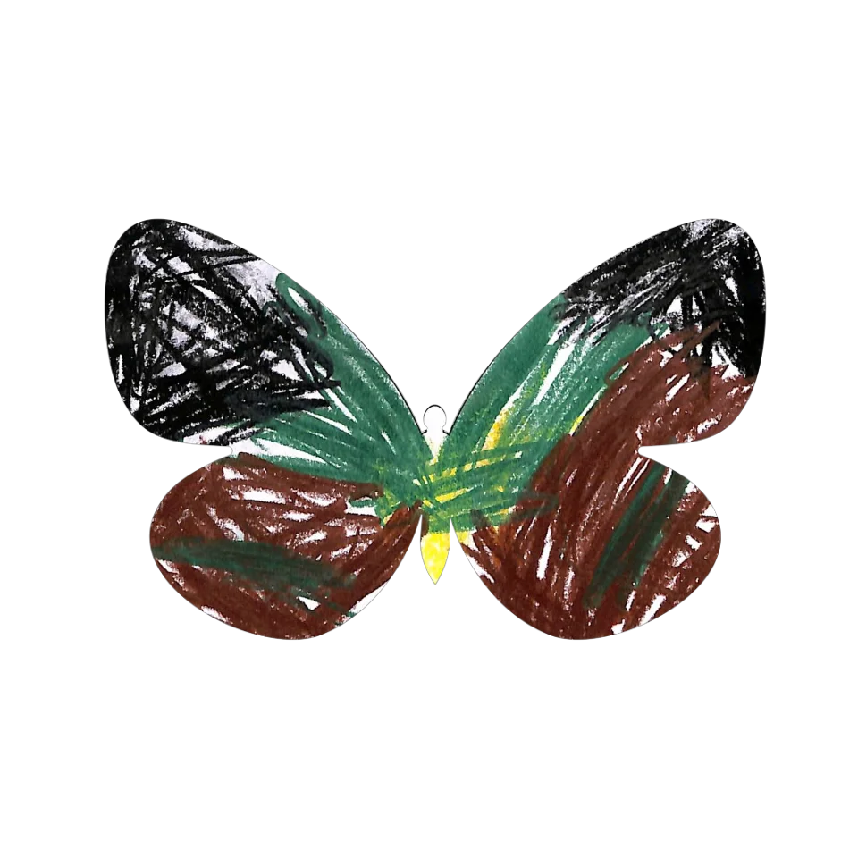 Original Butterfly Image