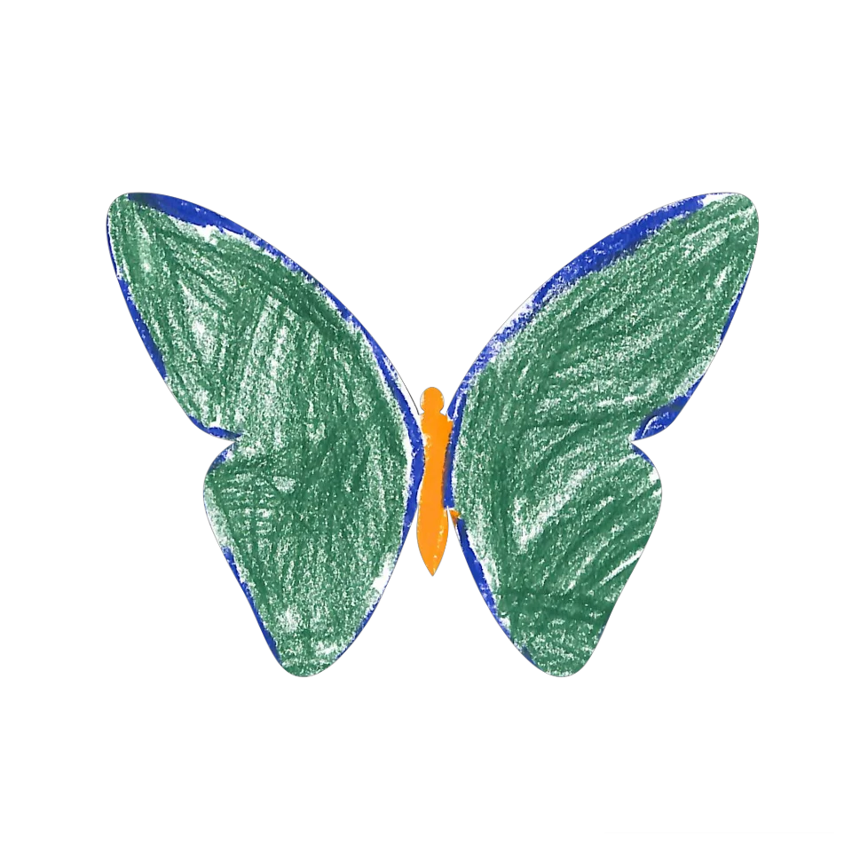 Original Butterfly Image