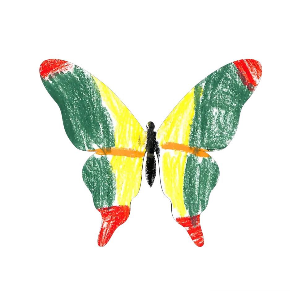 Original Butterfly Image