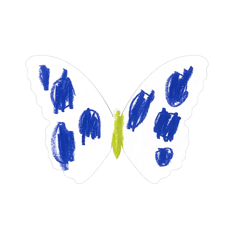 Original Butterfly Image