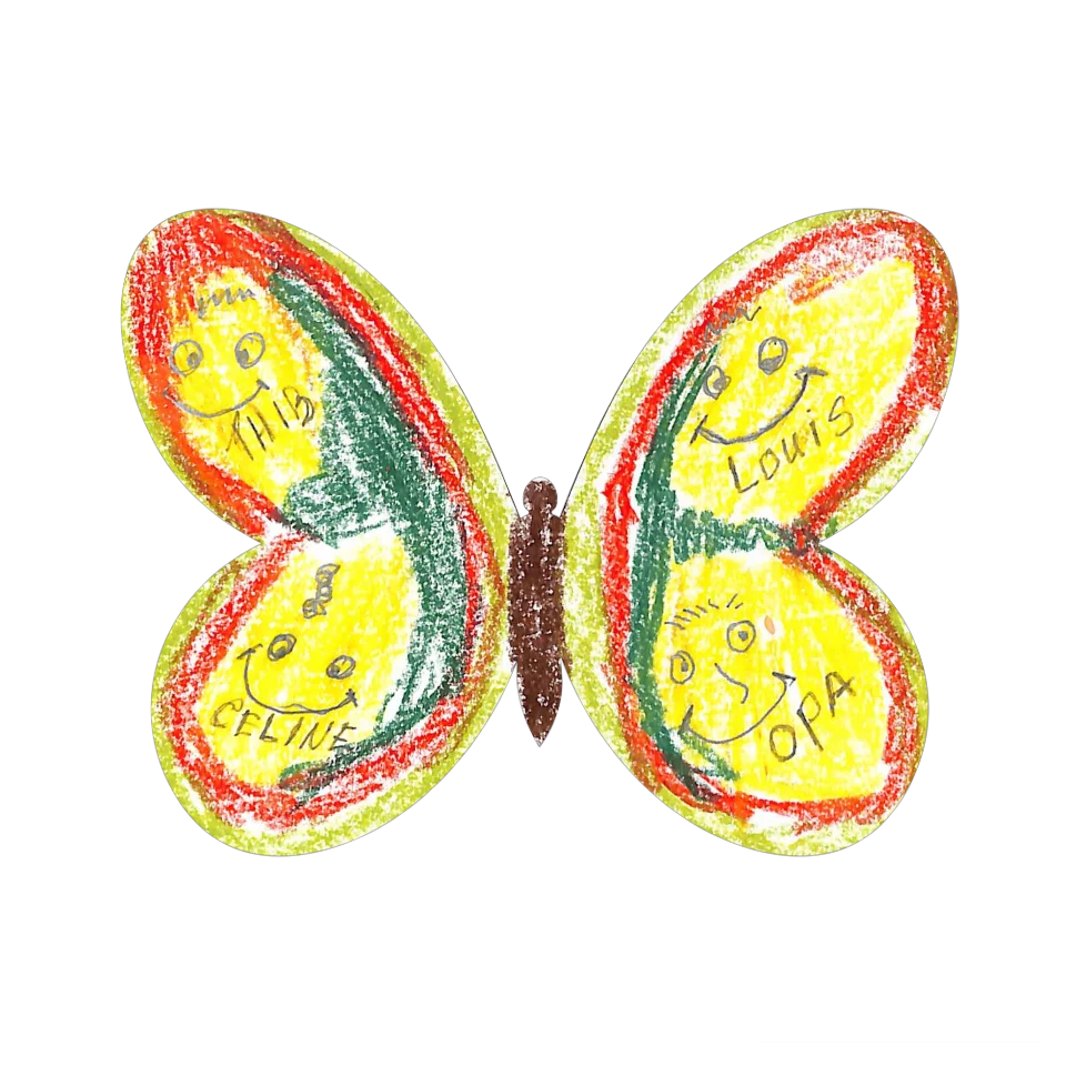Original Butterfly Image