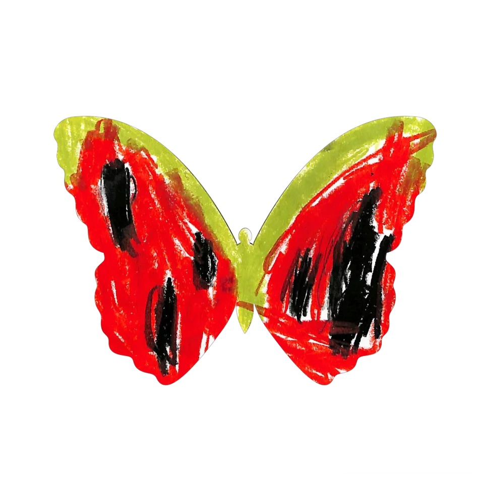 Original Butterfly Image