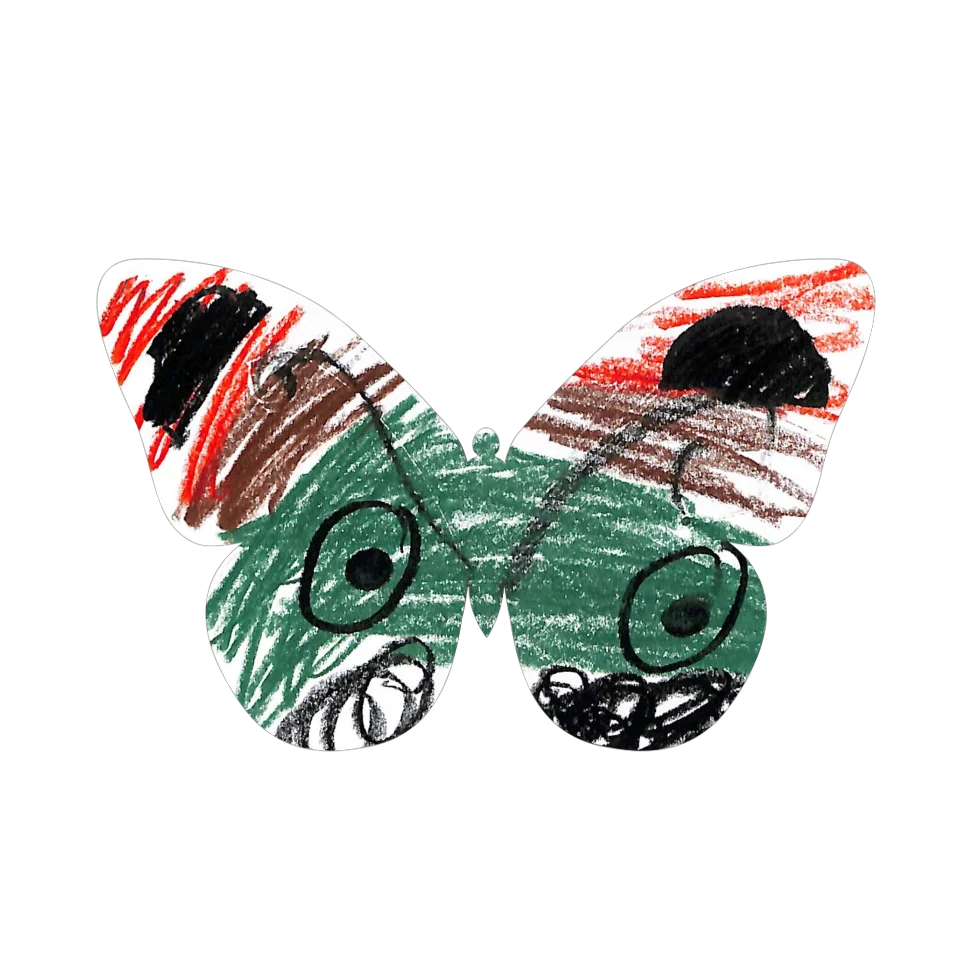 Original Butterfly Image