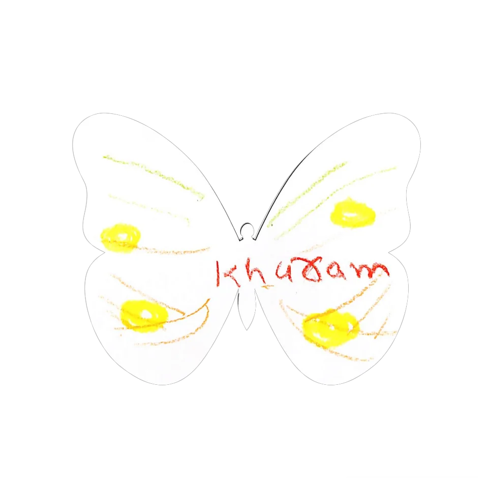 Original Butterfly Image