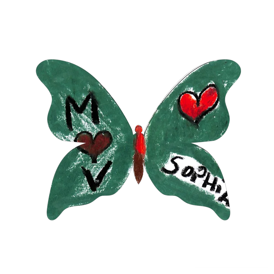 Original Butterfly Image