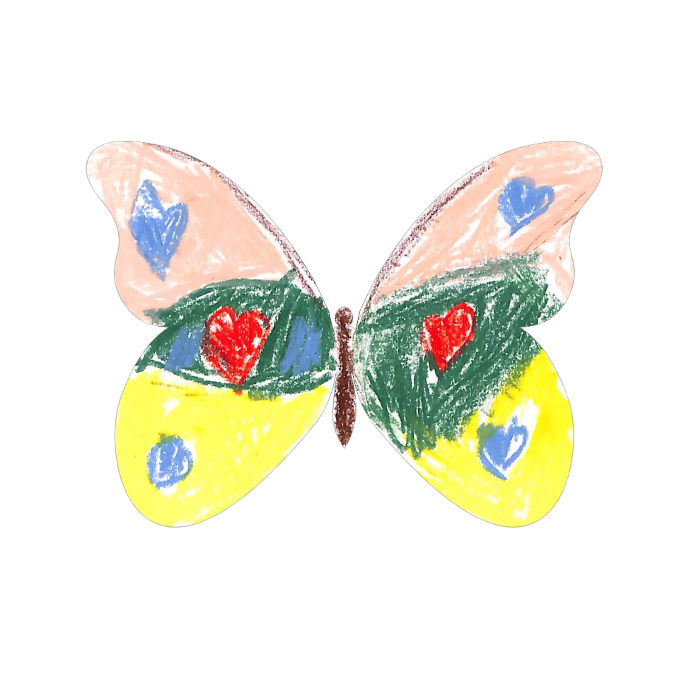 Original Butterfly Image