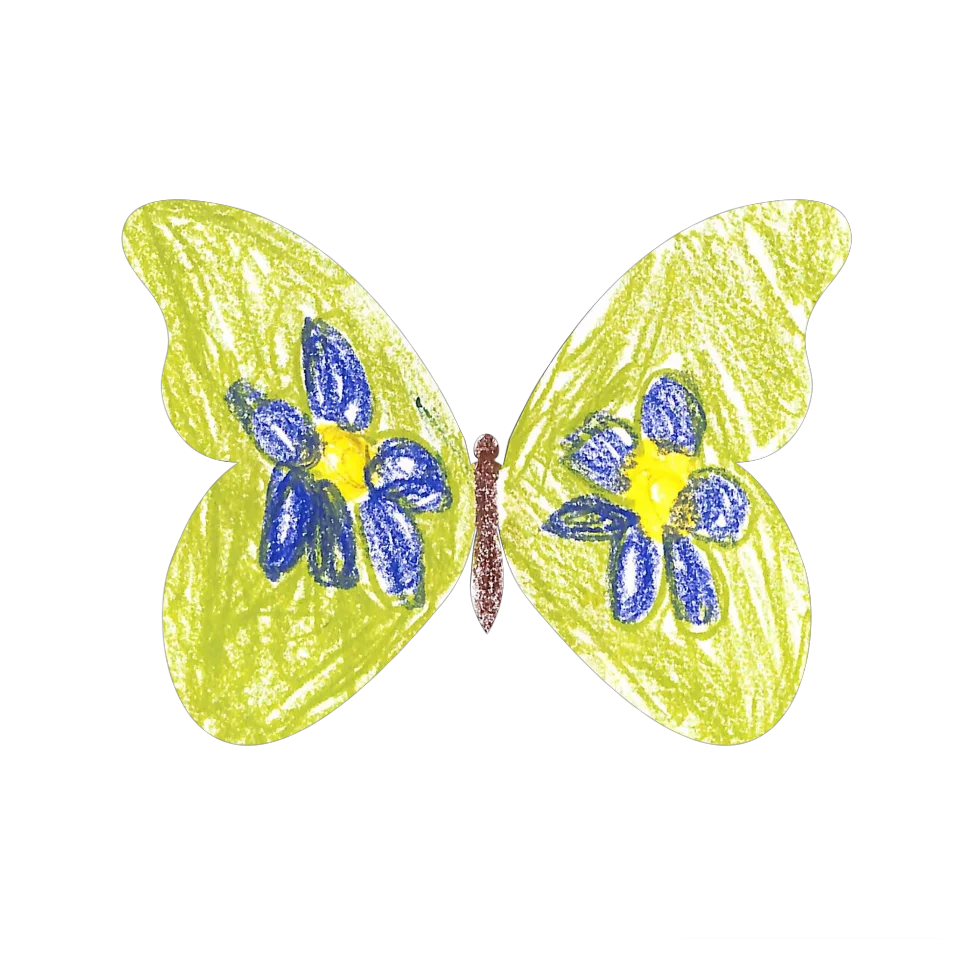 Original Butterfly Image