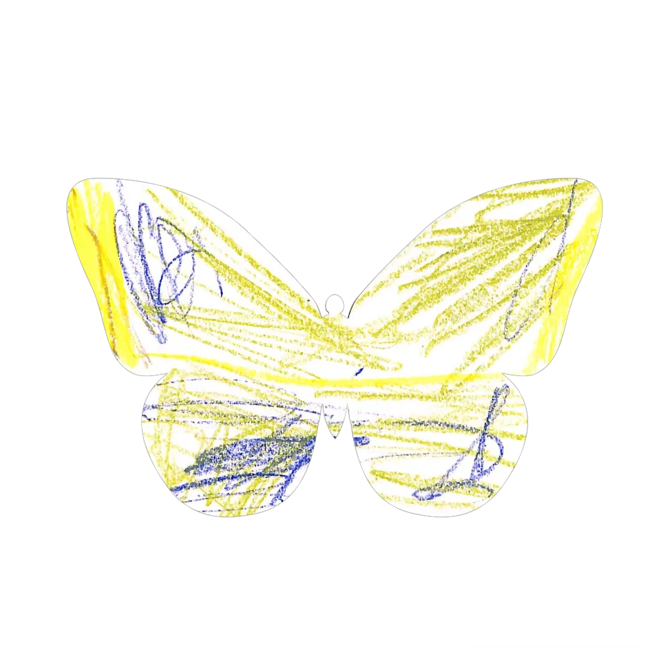 Original Butterfly Image