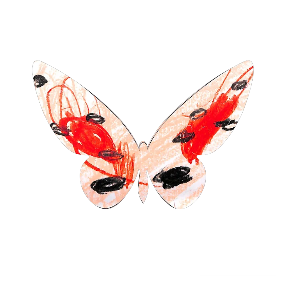 Original Butterfly Image