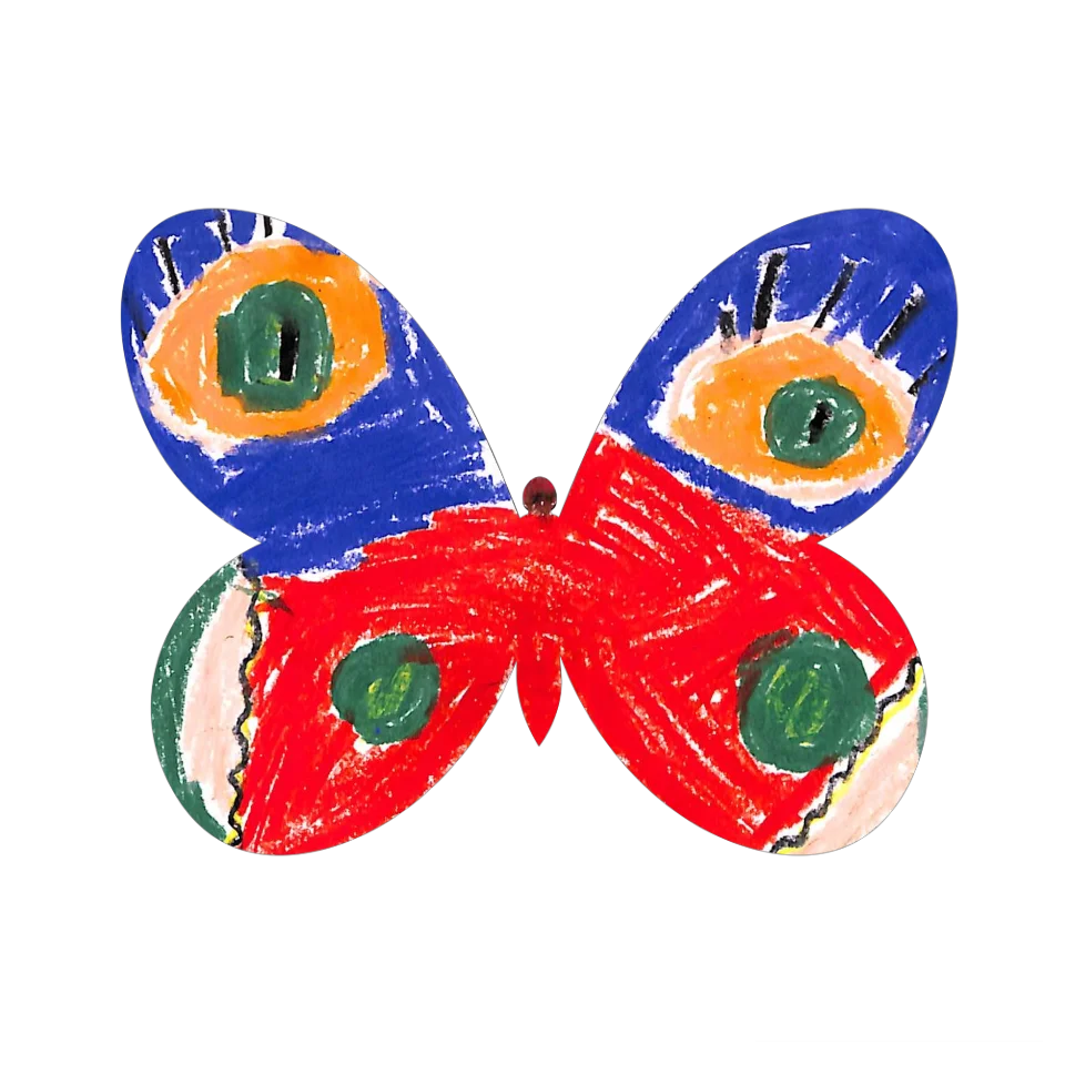 Original Butterfly Image