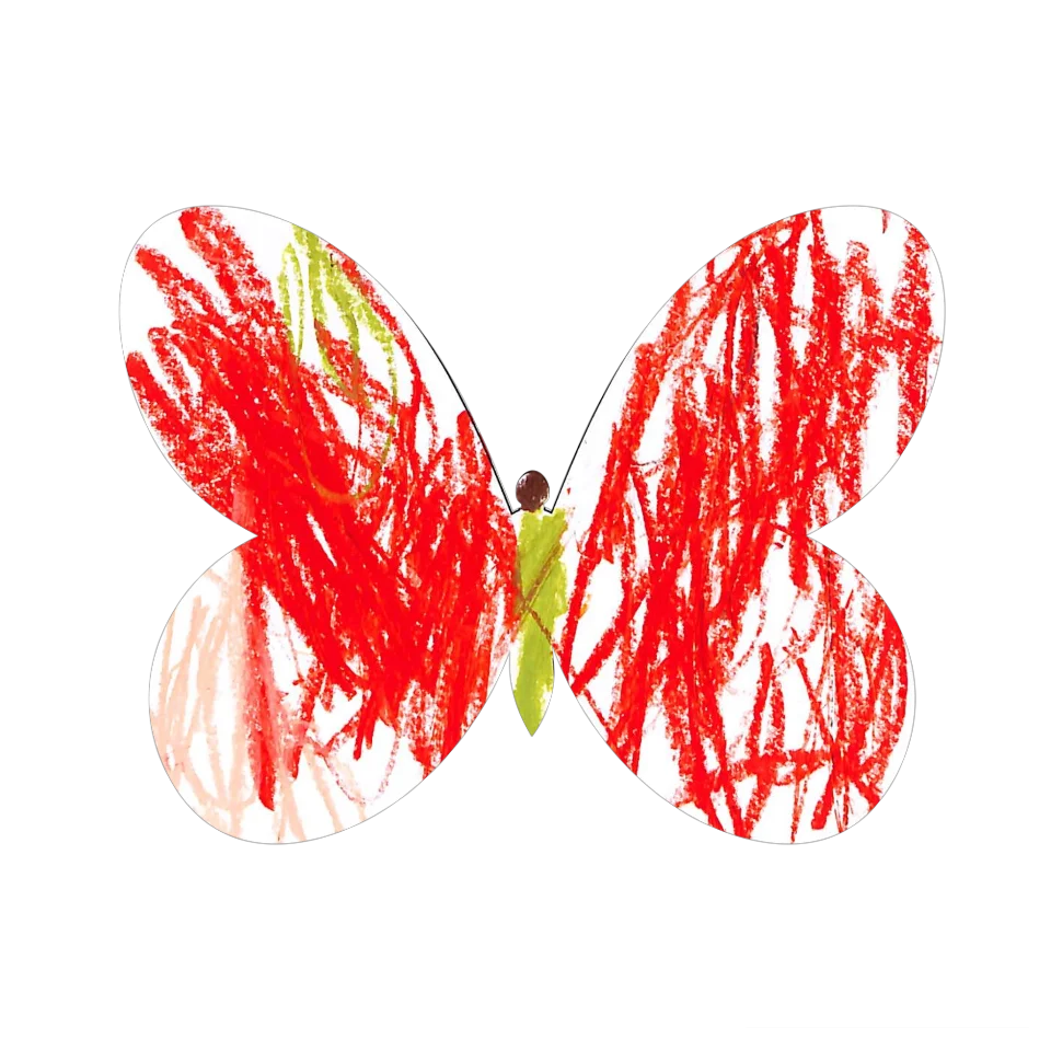Original Butterfly Image