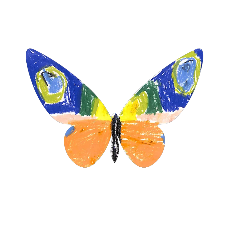 Original Butterfly Image