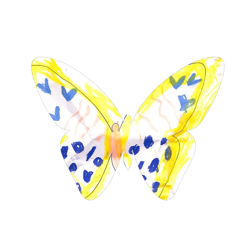Original Butterfly Image