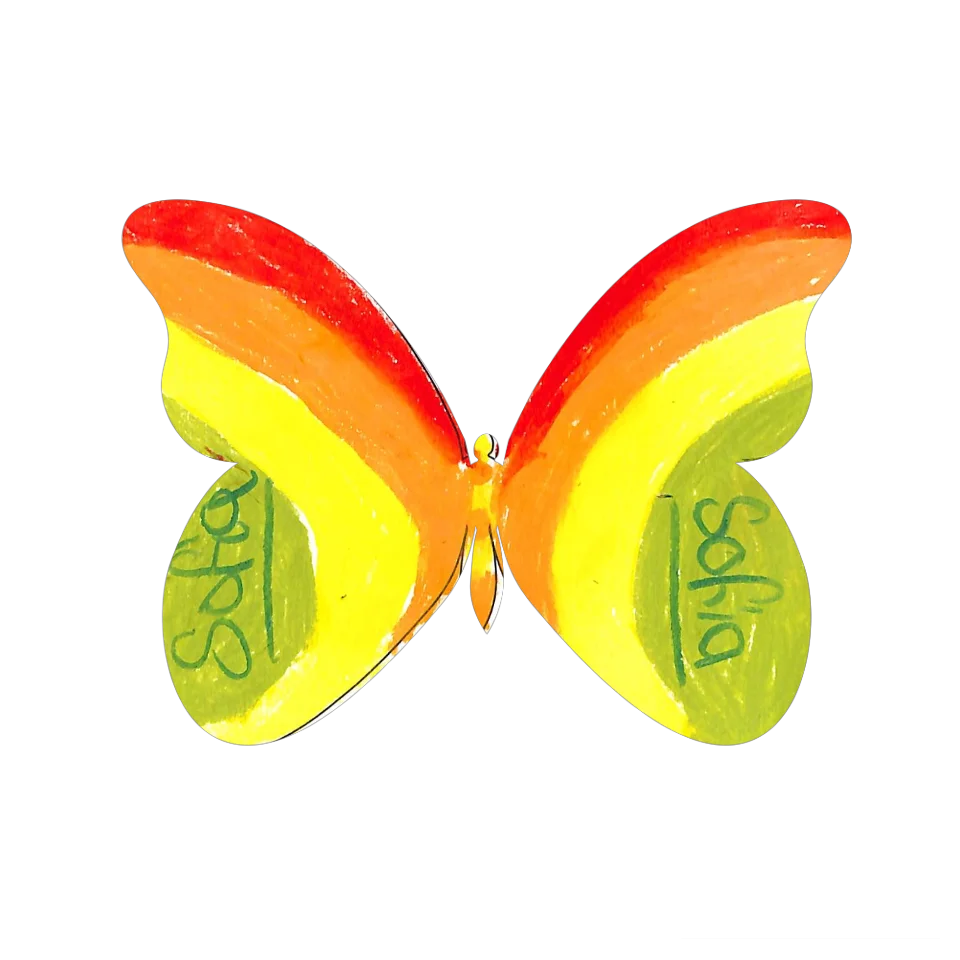 Original Butterfly Image