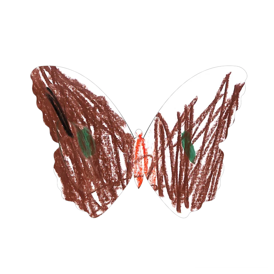 Original Butterfly Image