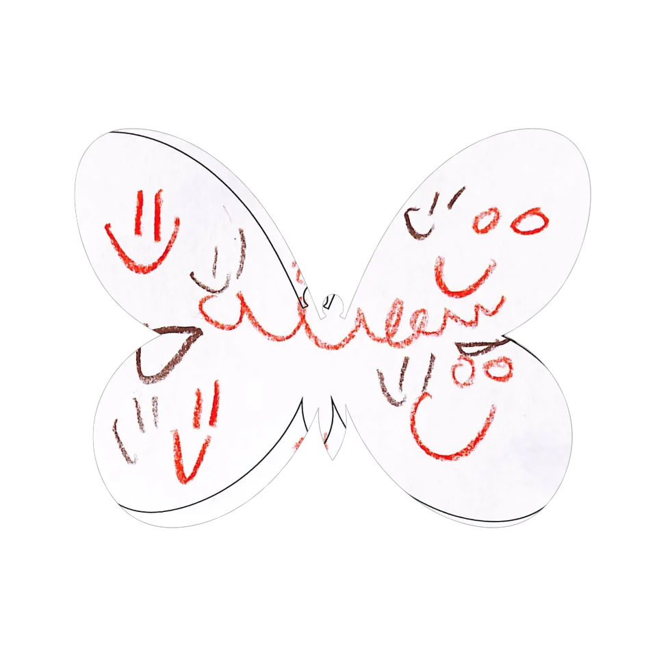 Original Butterfly Image