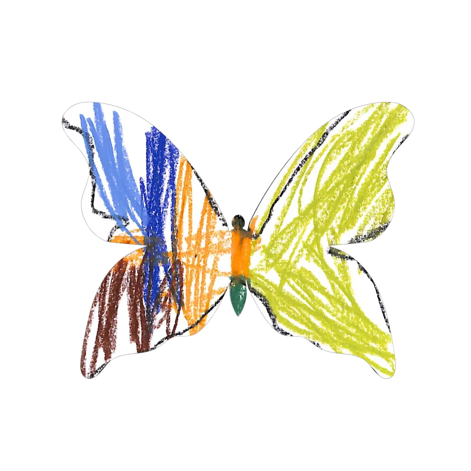 Original Butterfly Image