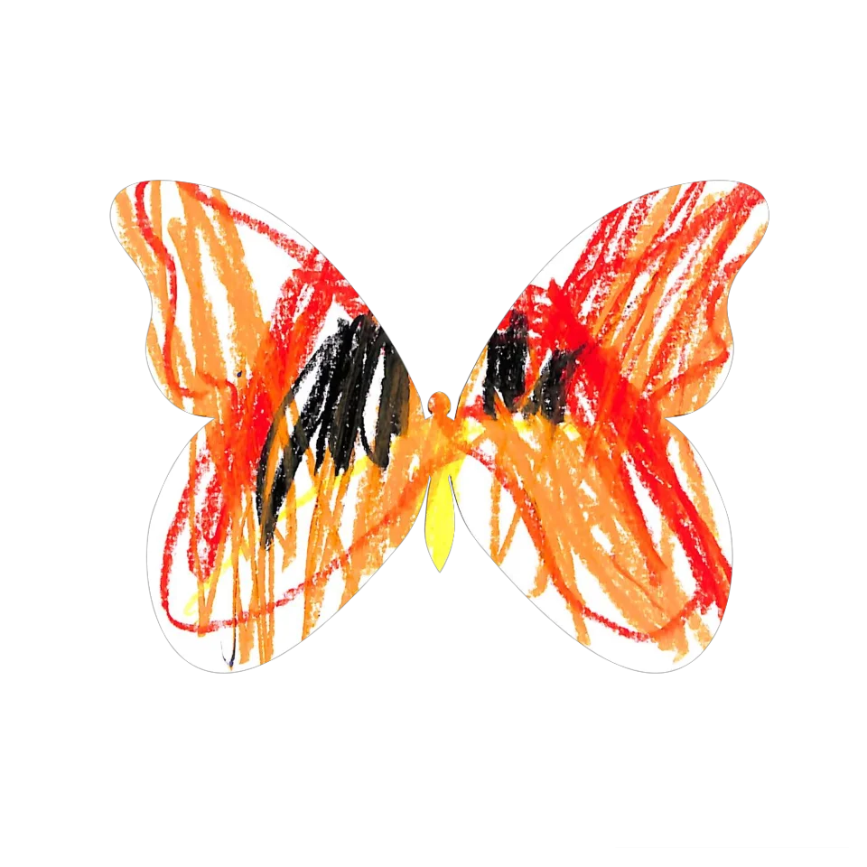 Original Butterfly Image