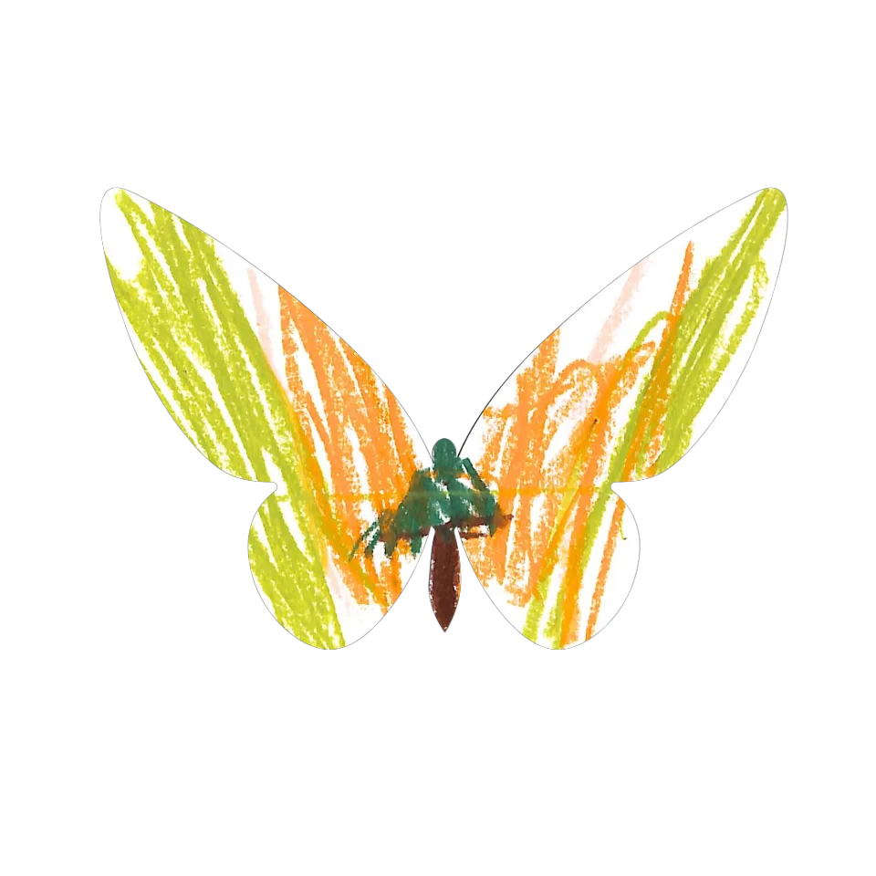 Original Butterfly Image