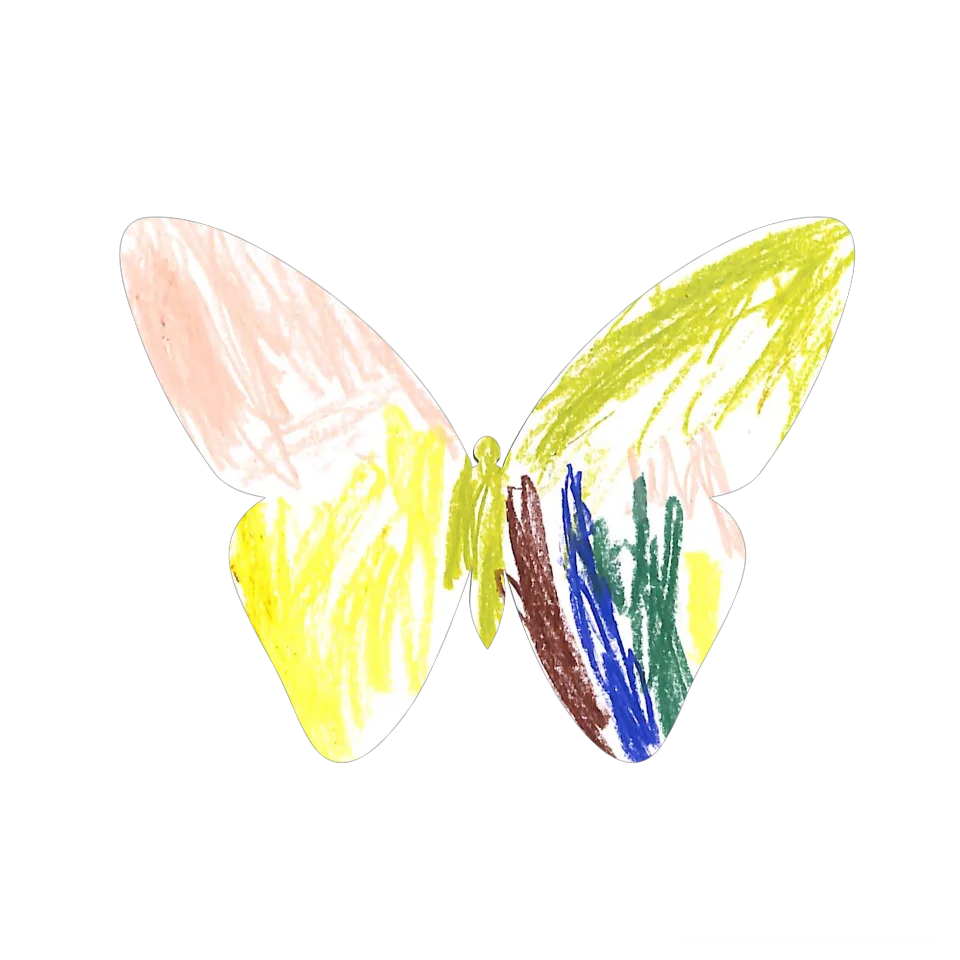 Original Butterfly Image