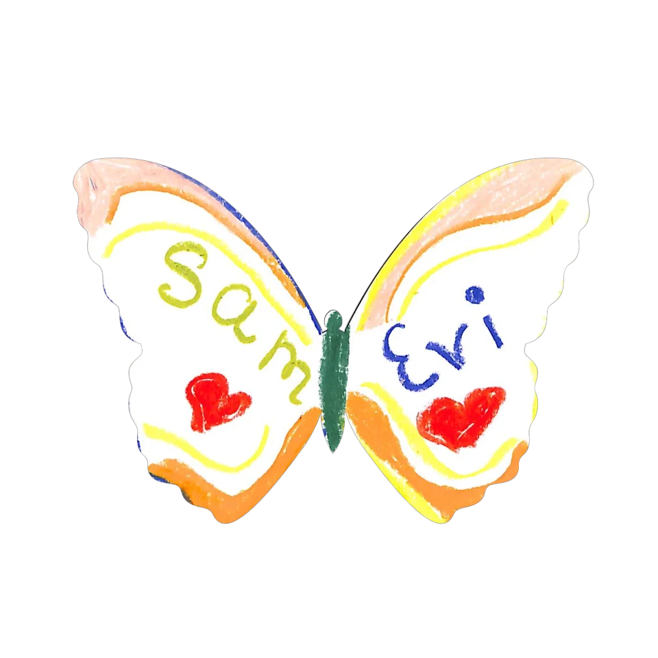 Original Butterfly Image