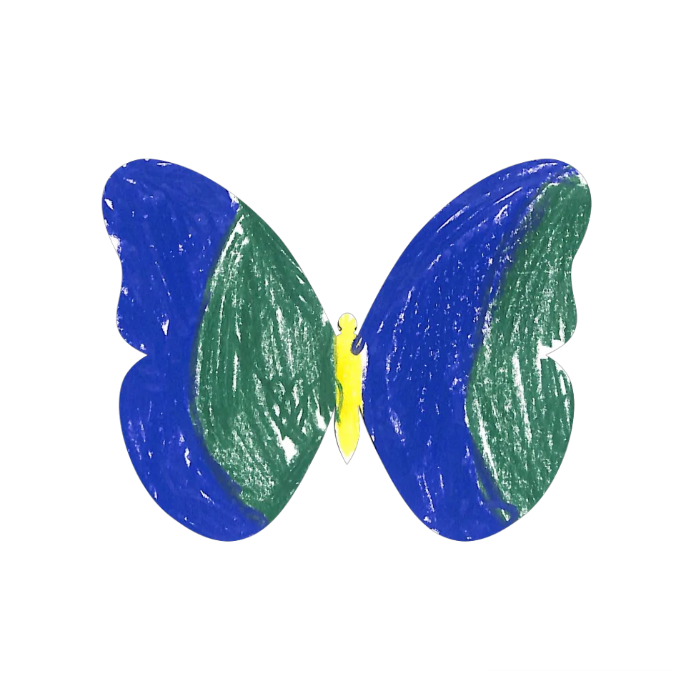 Original Butterfly Image
