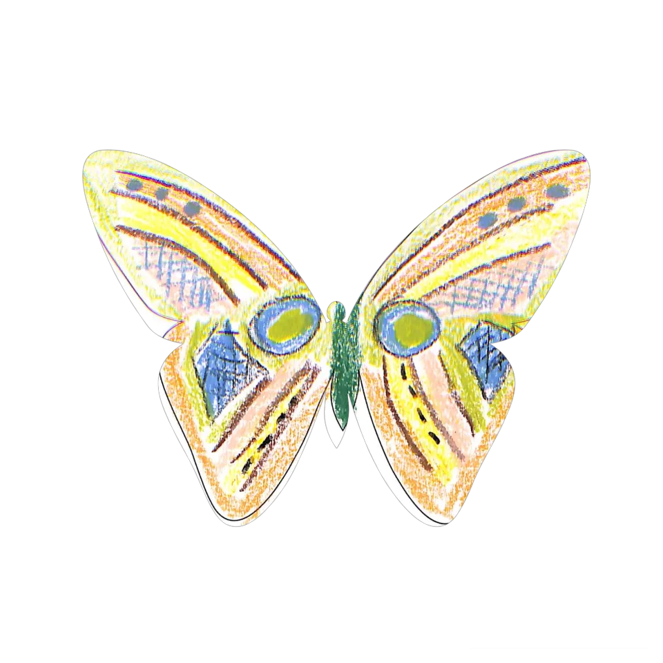 Original Butterfly Image