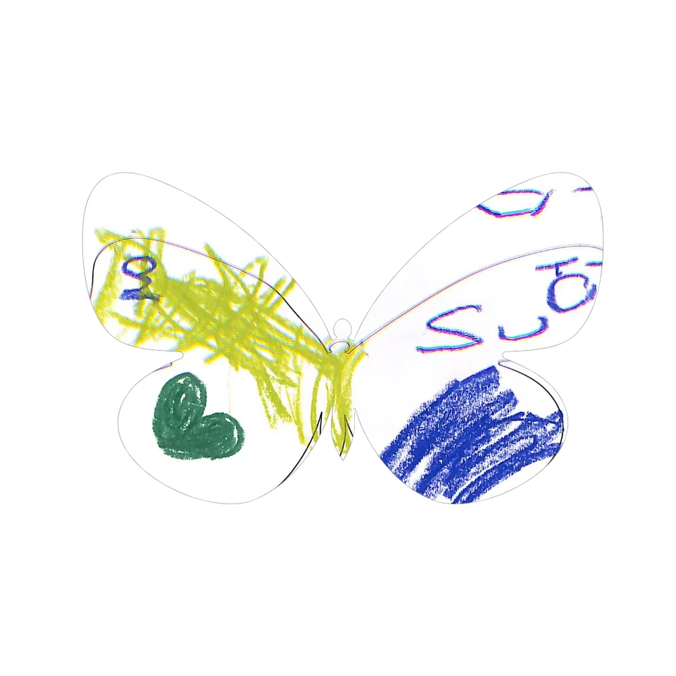 Original Butterfly Image