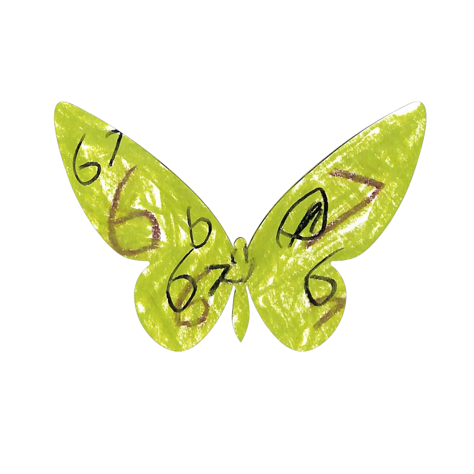 Original Butterfly Image