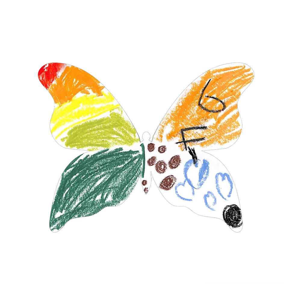 Original Butterfly Image