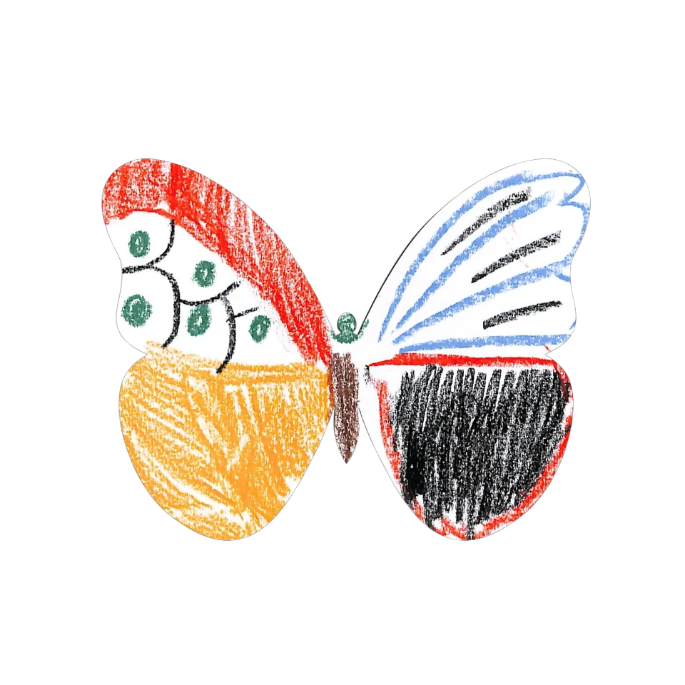 Original Butterfly Image