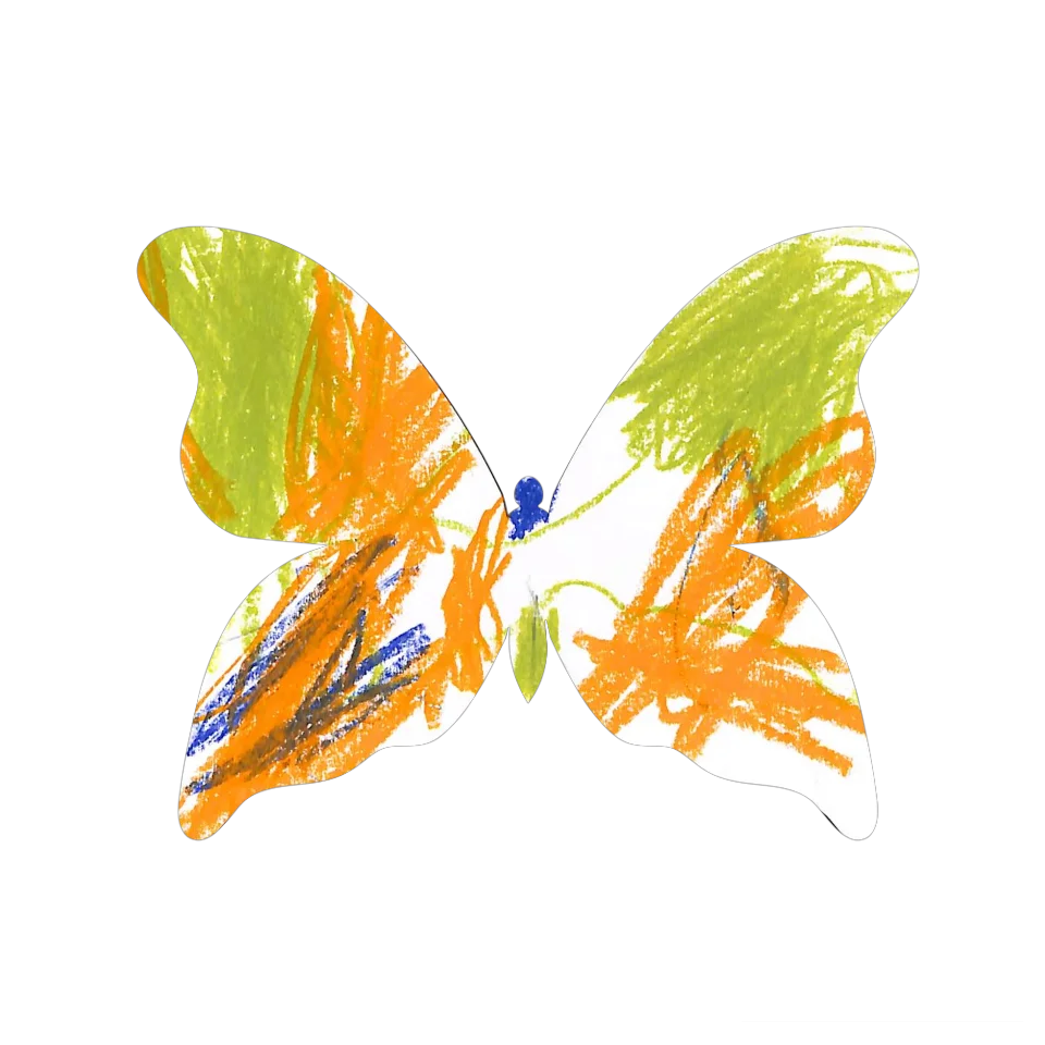 Original Butterfly Image