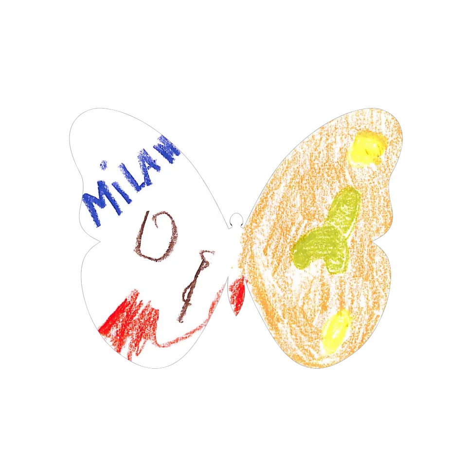 Original Butterfly Image