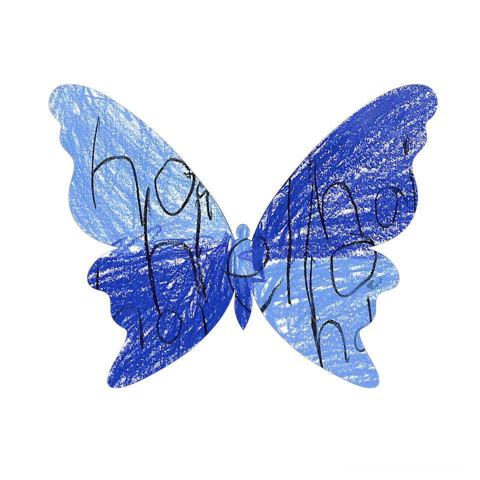 Original Butterfly Image