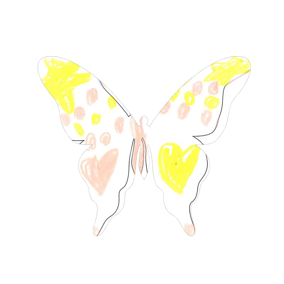 Original Butterfly Image