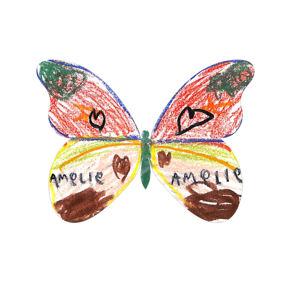Original Butterfly Image