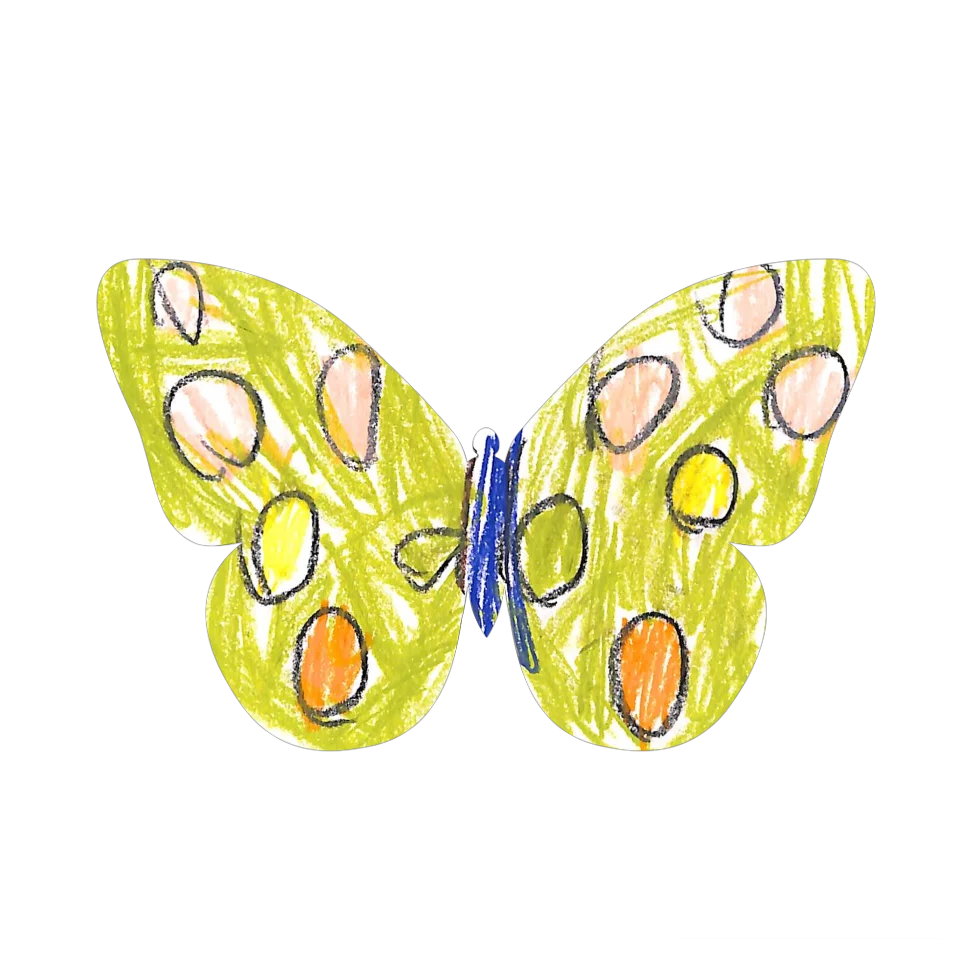 Original Butterfly Image