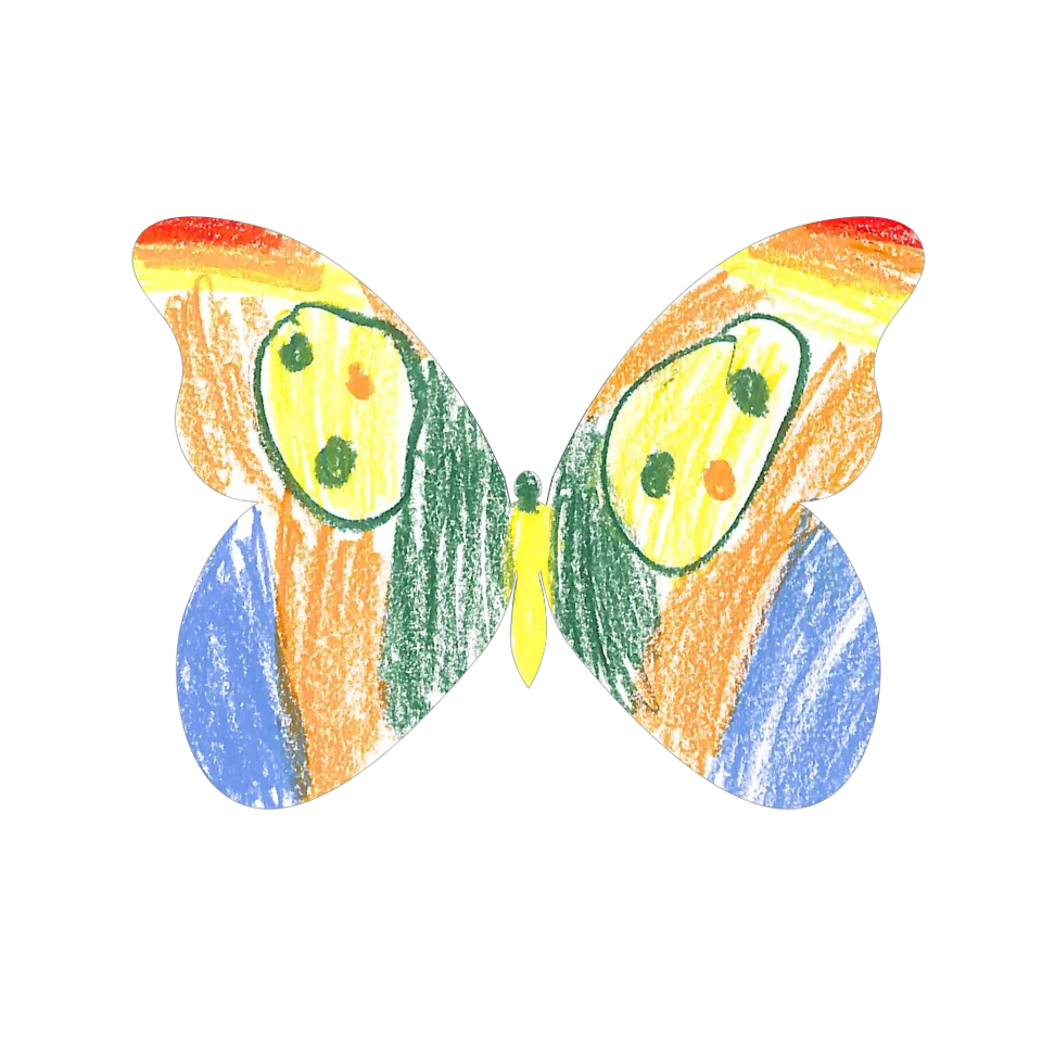 Original Butterfly Image