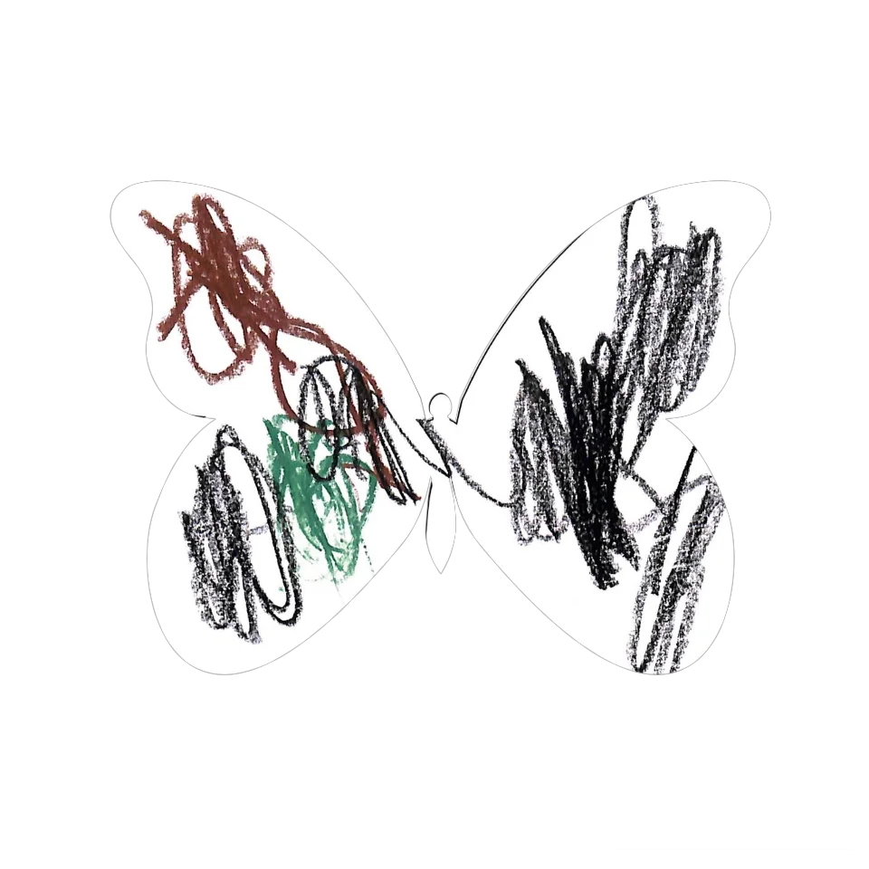 Original Butterfly Image