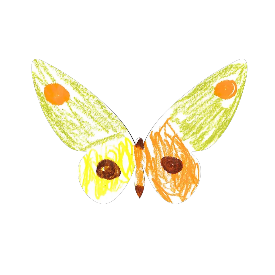 Original Butterfly Image