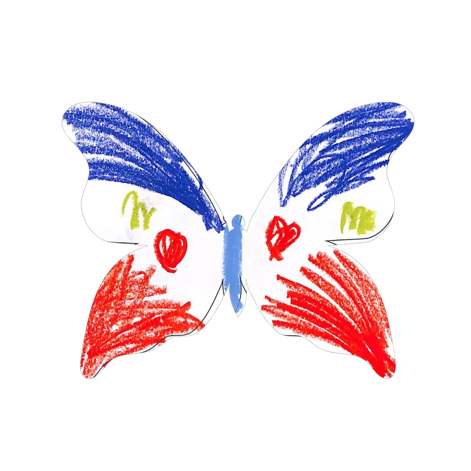 Original Butterfly Image